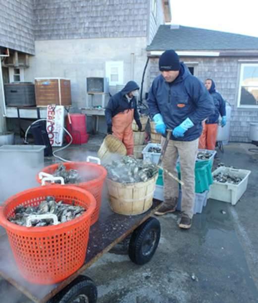 Hatteras Island Oyster Roast