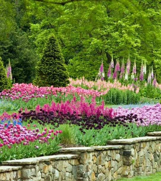 Longwood Gardens
