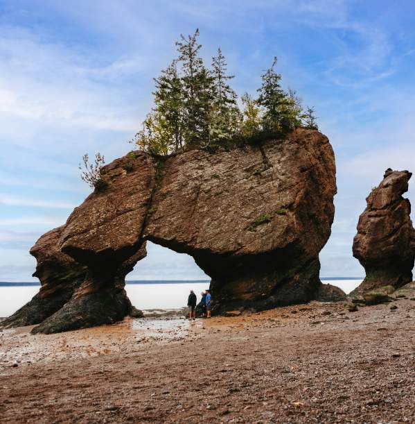 Hopewell Rocks Provincial Park