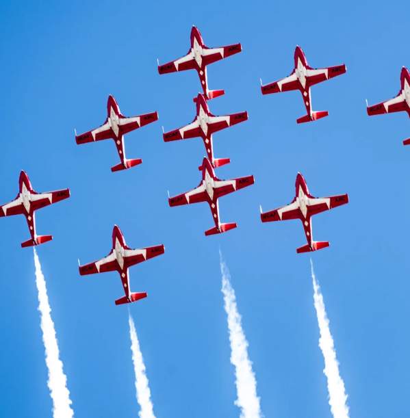 Canadian Forces Snowbirds
