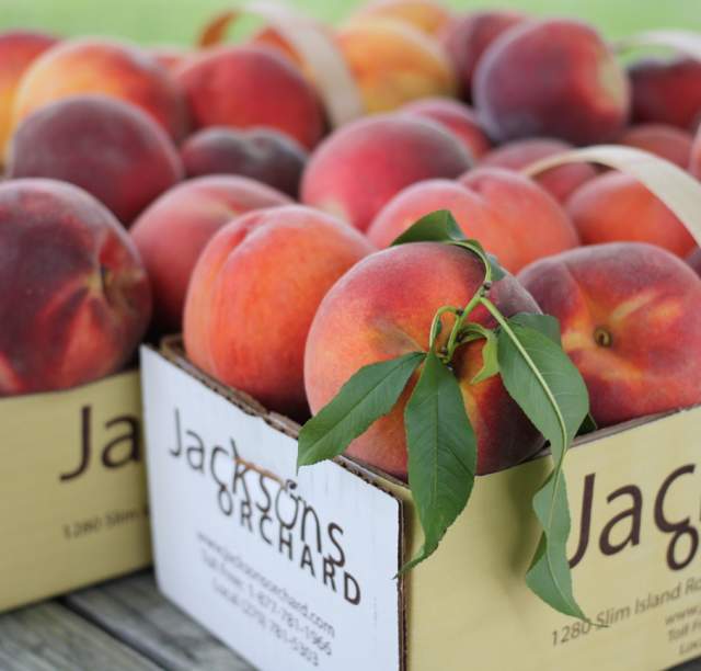Fresh and juicy, these locally-grown peaches from a Bowling Green Farmer's Market are sure to be delicious.