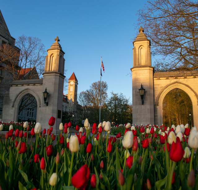 sample gates spring
