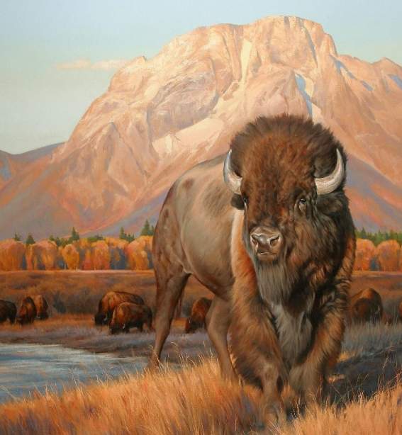 Mountain Trails Gallery