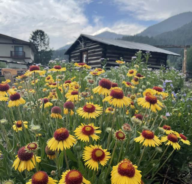 Historic Crail Ranch Homestead Museum Tours