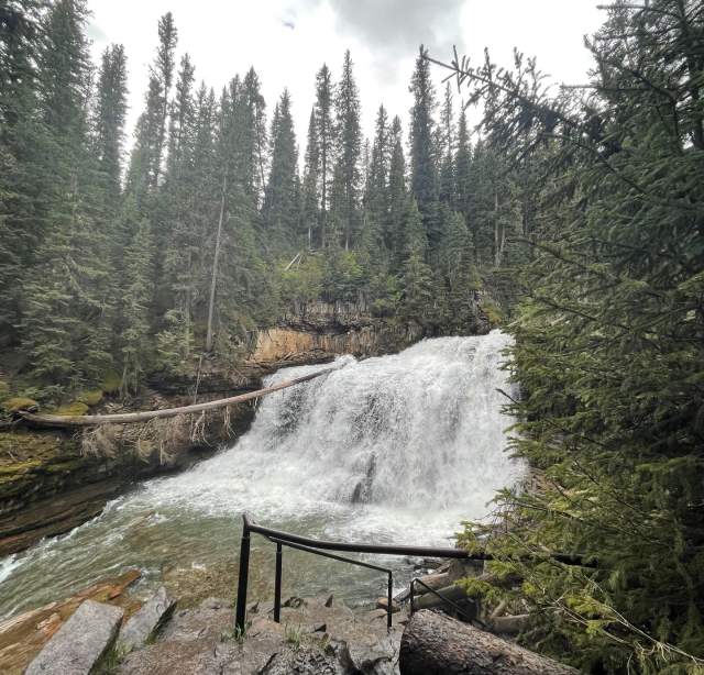 Hike Local Trails