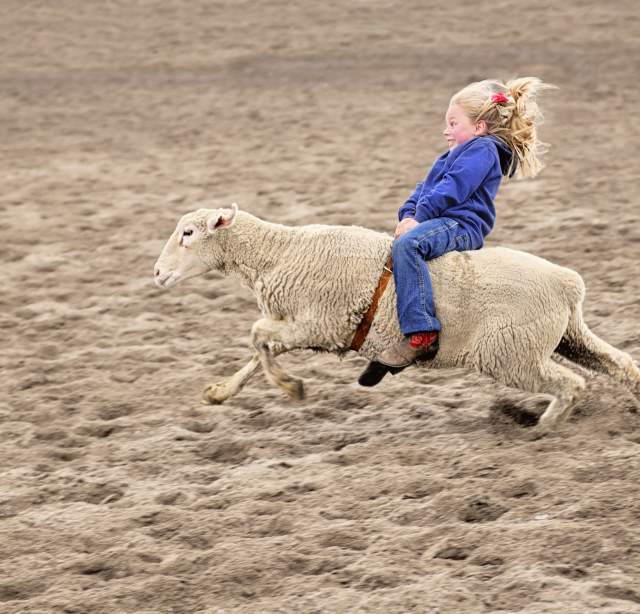 Free Community Day & Mutton Bustin'