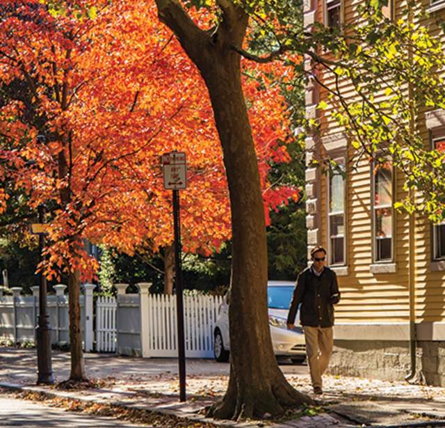Buy Local for Thanksgiving: 5 Holiday Essentials