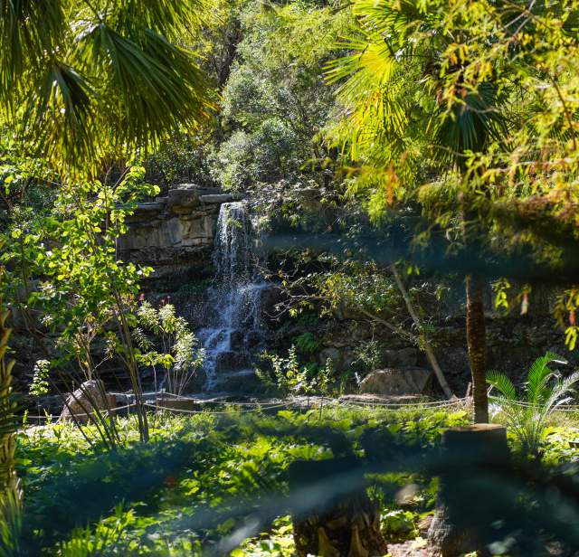 Zilker Botanical Garden | A Peaceful Oasis in Austin