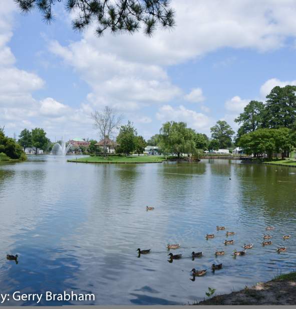 From Festivals to Foliage: 25 Ways to Fall in Love with Nash County & Rocky Mount