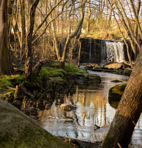 From First Dates to Forever: 10 Perfect Proposal Spots