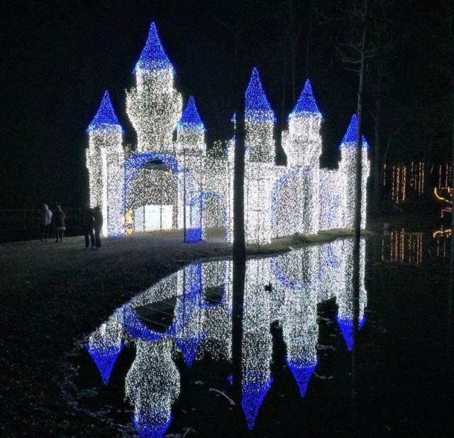 Lights Of The South