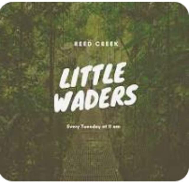 Lil' Waders