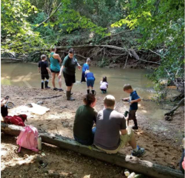 Wetland Discovery Camp