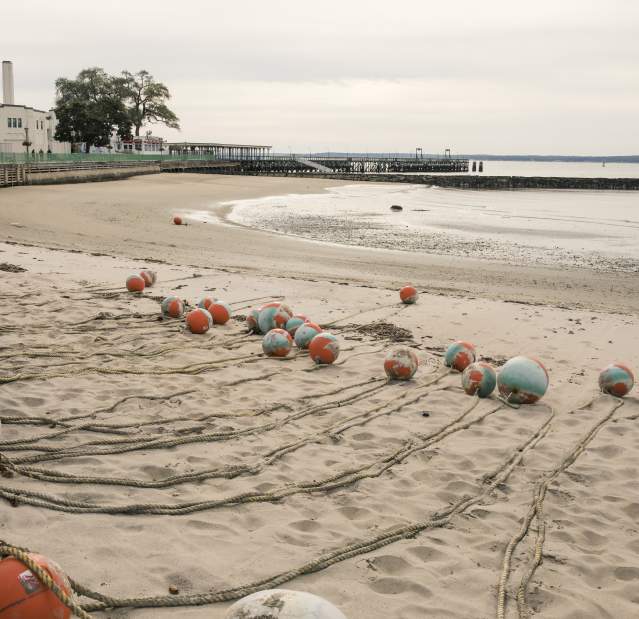 A quiet Playland Beach is shown with the lines for swimming lanes laid out on the sand.