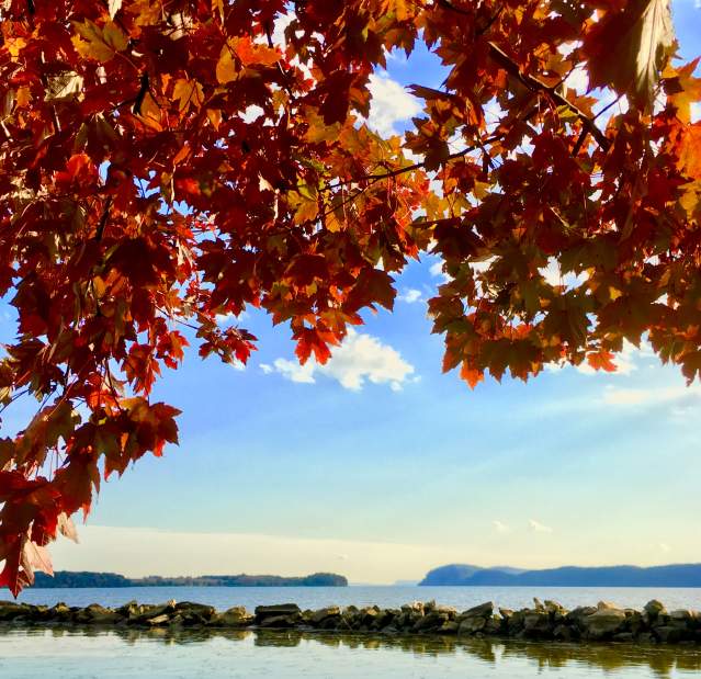 Red fall leaves against the backdrop of the Hudson River.