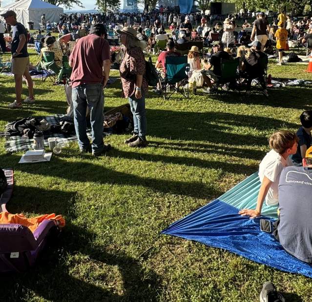 A crowd on picnic blankets and standing.