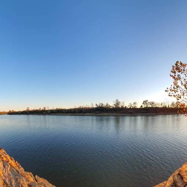 Kings Bluff Park