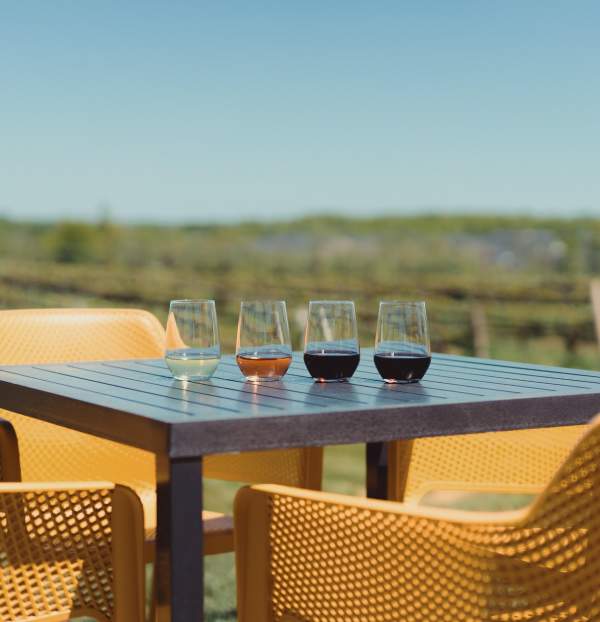 Wine tasting cups
