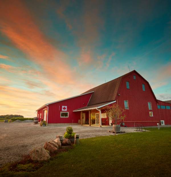 Between The Lines Winery