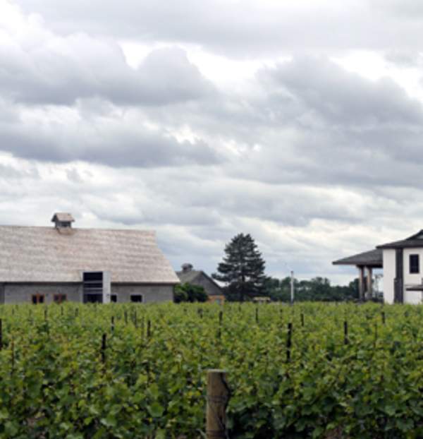 Inniskillin Wines