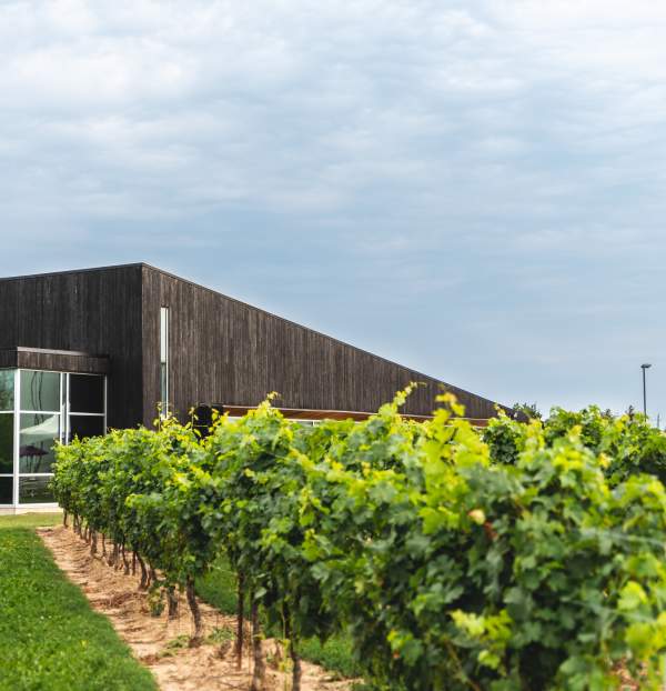Lakeview Wine Co.