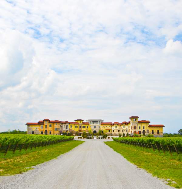 Colaneri Estate Winery