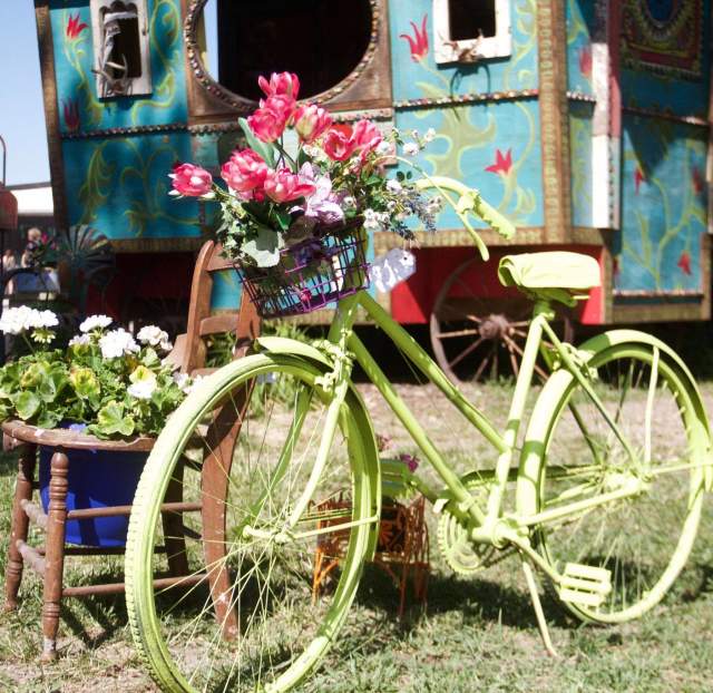 Junkstock beauty Shot