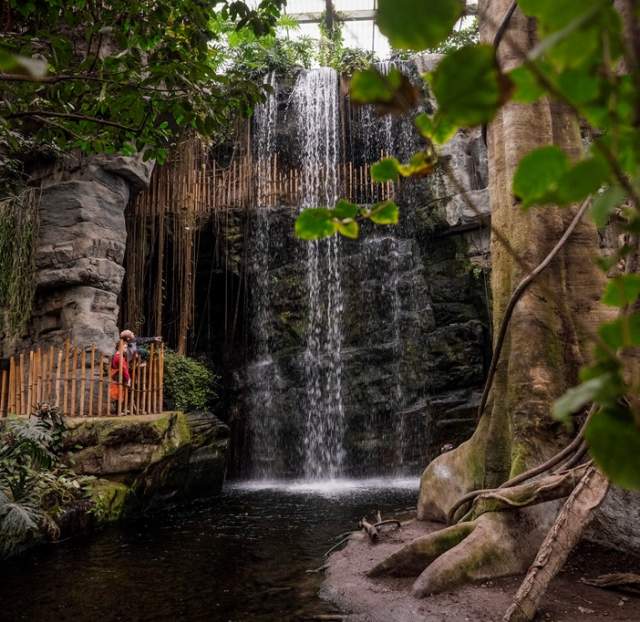 Give the nature lover in your life tickets to the Henry Doorly Zoo