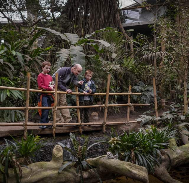 Explore Omaha Zoo Exhibits