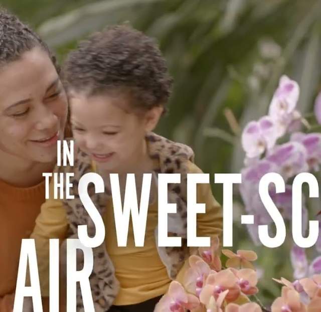 Plan a Spring Getaway in Omaha