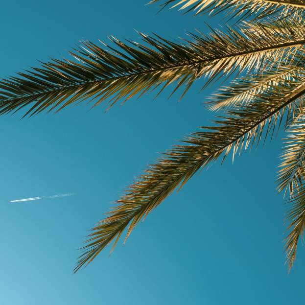 Conoce Fuengirola