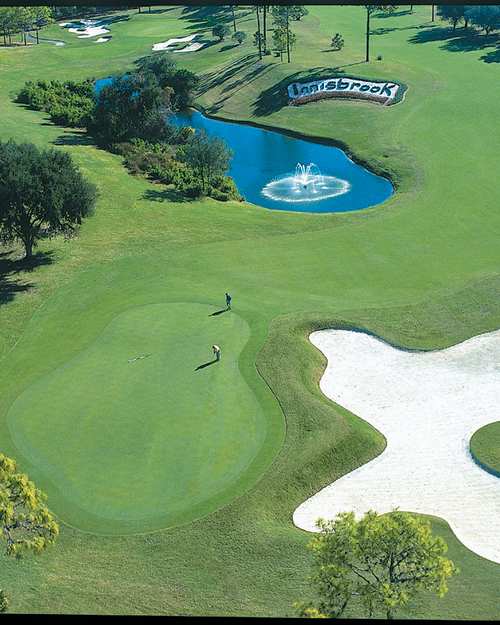 Innisbrook Resort and Golf Club, Palm Harbor