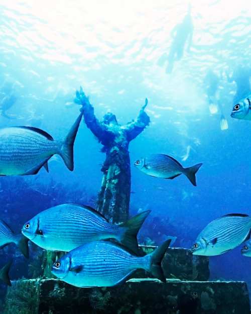 Christ of the Deep Key Largo statue surrounded by blue fish and scuba divers