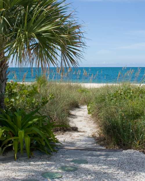 Nokomis View of the beach