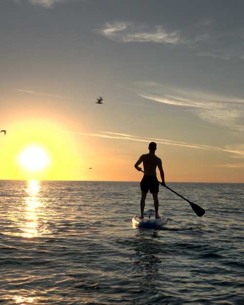 Anna Maria island manatee county paddle boarder