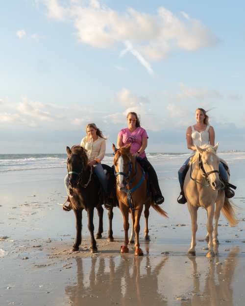Guide to Vacations & Attractions in Amelia Island Florida