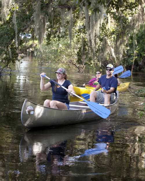 Enjoy a slice of real Florida by canoe, kayak or boat on the Peace River Paddling Trail, a serene trek from Bartow to Arcadia.