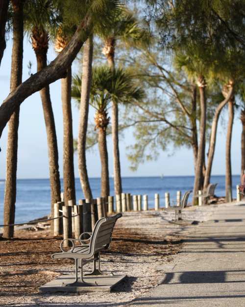 Our Favorite Places in Anna Maria City