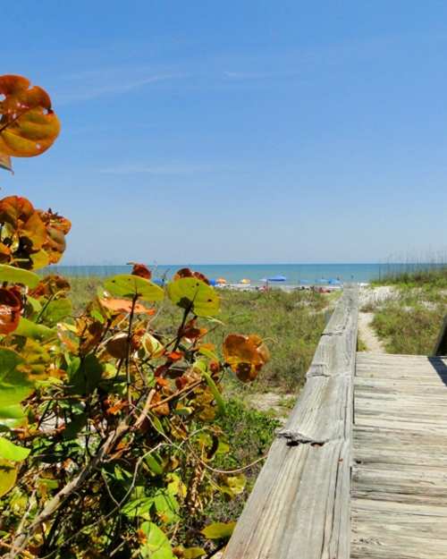 Central East Florida Popular Places to Go