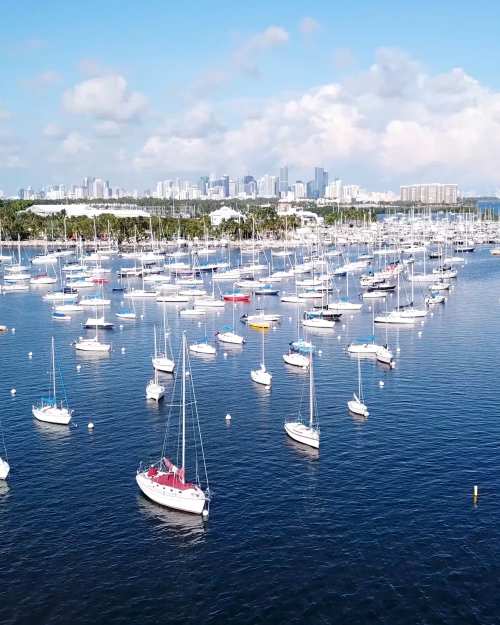 Coconut Grove