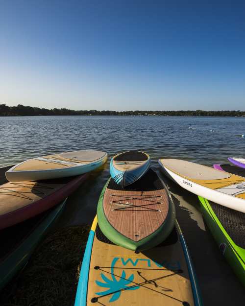 Colorful paddleboards on the shore of Lake Virginia in Winter Park in central Florida