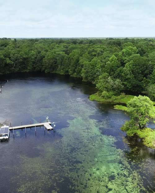 Wakulla Springs Florida - Things to Do & Attractions