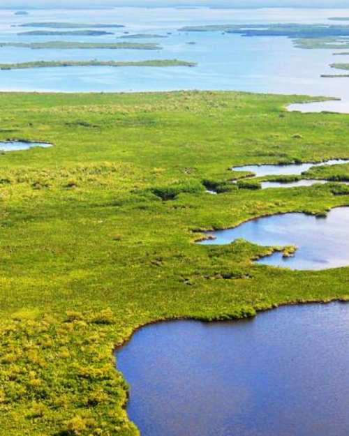 Everglades Aerial