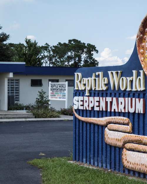Reptile World Serpentrarium sign