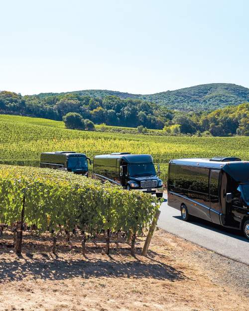 shuttle vans in a vineyard from Beau Wine Tours