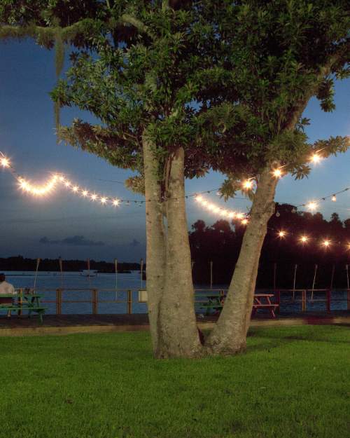 Crystal River Florida Things To Do Attractions In Crystal River Fl