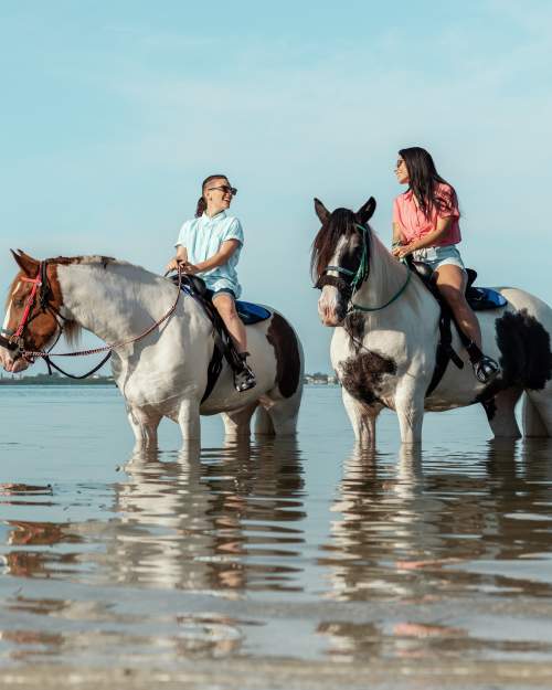 Horseback riding on Anna Maria Island beach