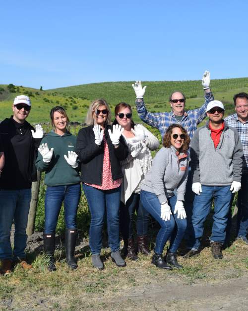 Behind the Cellar Door: A Harvest Experience