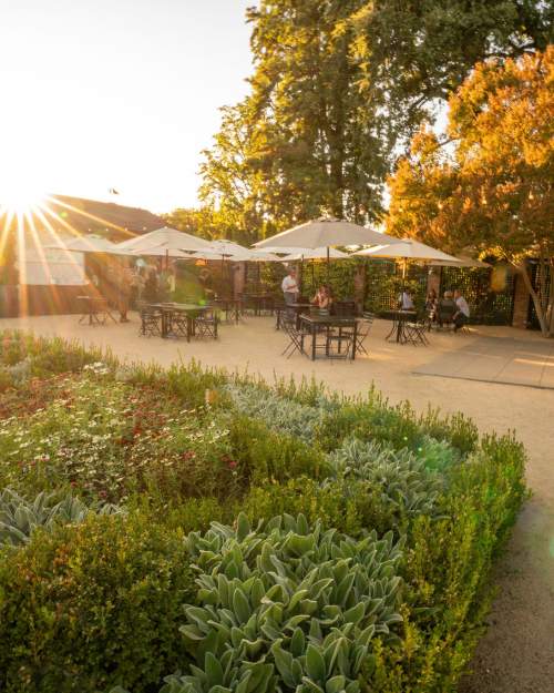 Autumn Gathering: Paella & Wine