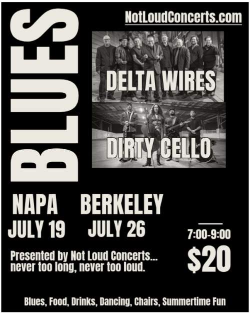 Summer Sessions at Napa Yard - Blues Night with Delta Wires and Dirty Cello